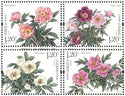 2019-09 Chinese Herbaceous Peony