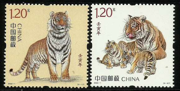 2022-01 The year of Renyin (Year of Tiger)