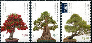 AUS2021-23 Australia Bonsai Trees (3)